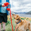 Retractable Dog Leash with Water Bottle