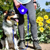 Retractable Dog Leash with Water Bottle