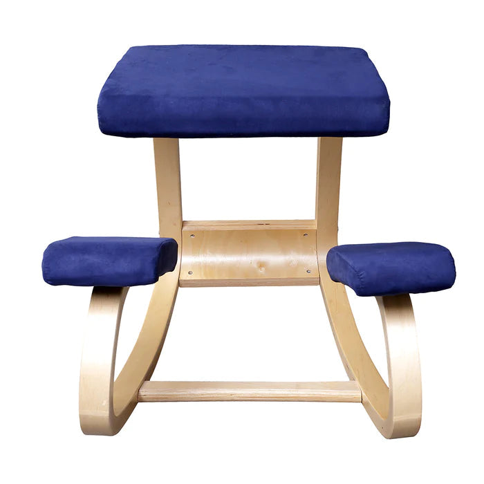 Blue Ergonomic chair